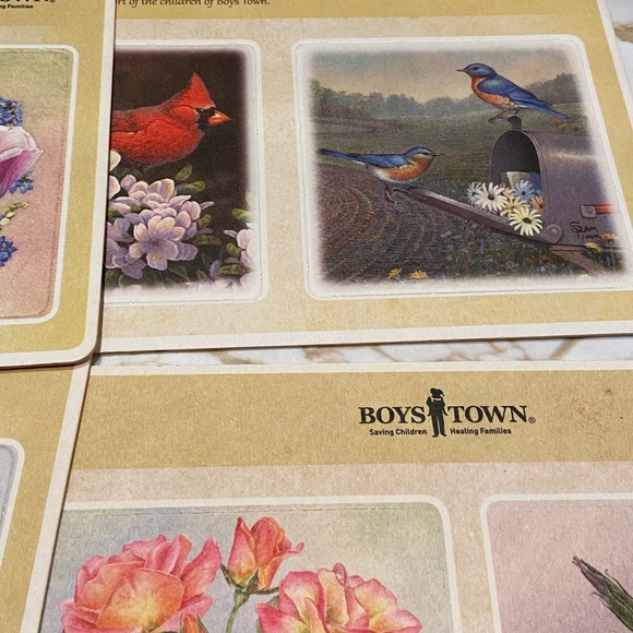 Boys Town Wild Wings Chipboard Drink Coasters 2014 Song Birds/Flowers Set Of 12 - Picture 8 of 8